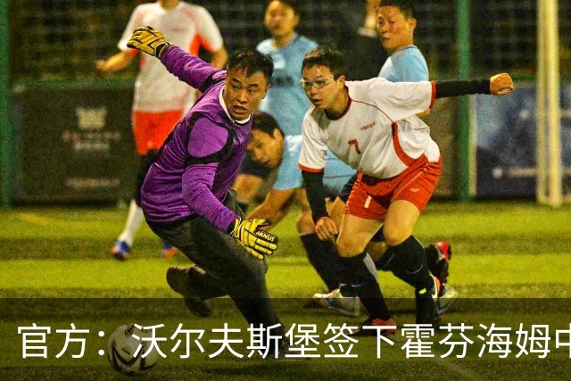 官方：沃尔夫斯堡签下霍芬海姆中场达马尔，双方签约至2031年