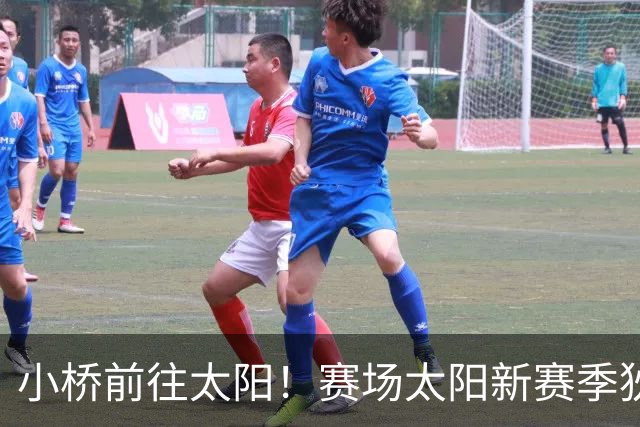 小桥前往太阳！赛场太阳新赛季狄龙+布里奇斯双锋组合