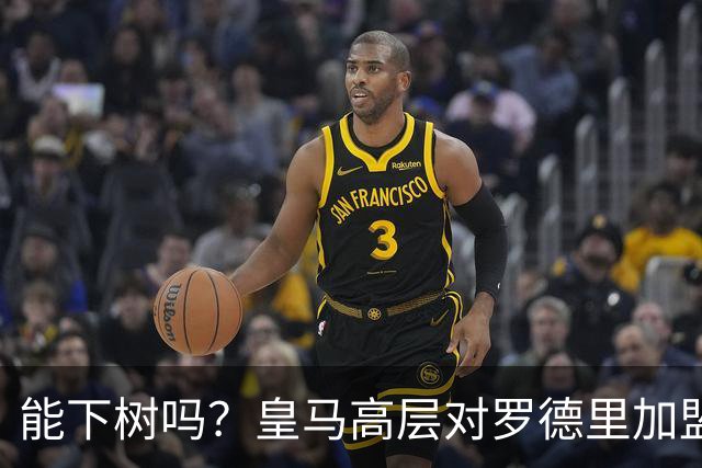 能下树吗？皇马高层对罗德里加盟心存疑虑，赞助商和球迷极力支持